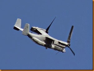 IMG_6279