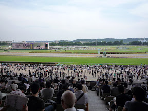 好天の東京競馬場