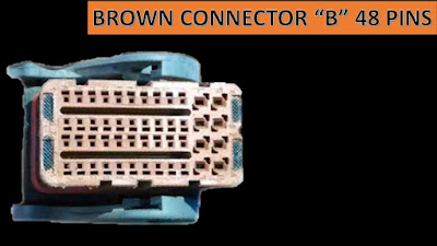 PINOUTS BROWN CONNECTOR 48 PINS RENULT