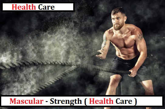 Muscular Strength - Fitness