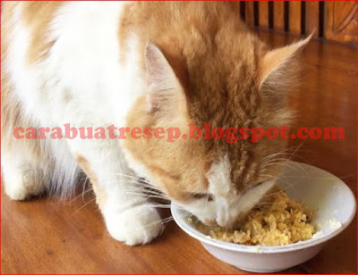 Foto Resep Makanan Kucing dari Tempe Sederhana Spesial Asli Enak