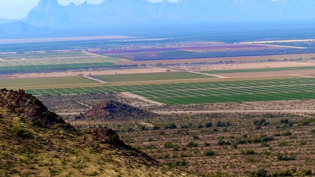 P1070195