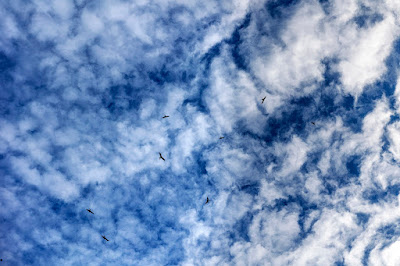 Der Himmel über Matzingen und die Freiheit der Vögel.