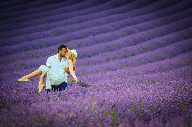 Valensole-Campi di lavanda al tramonto