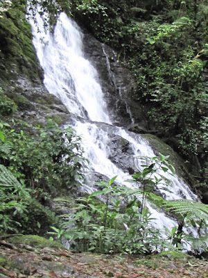 Parque Estadual Intervales