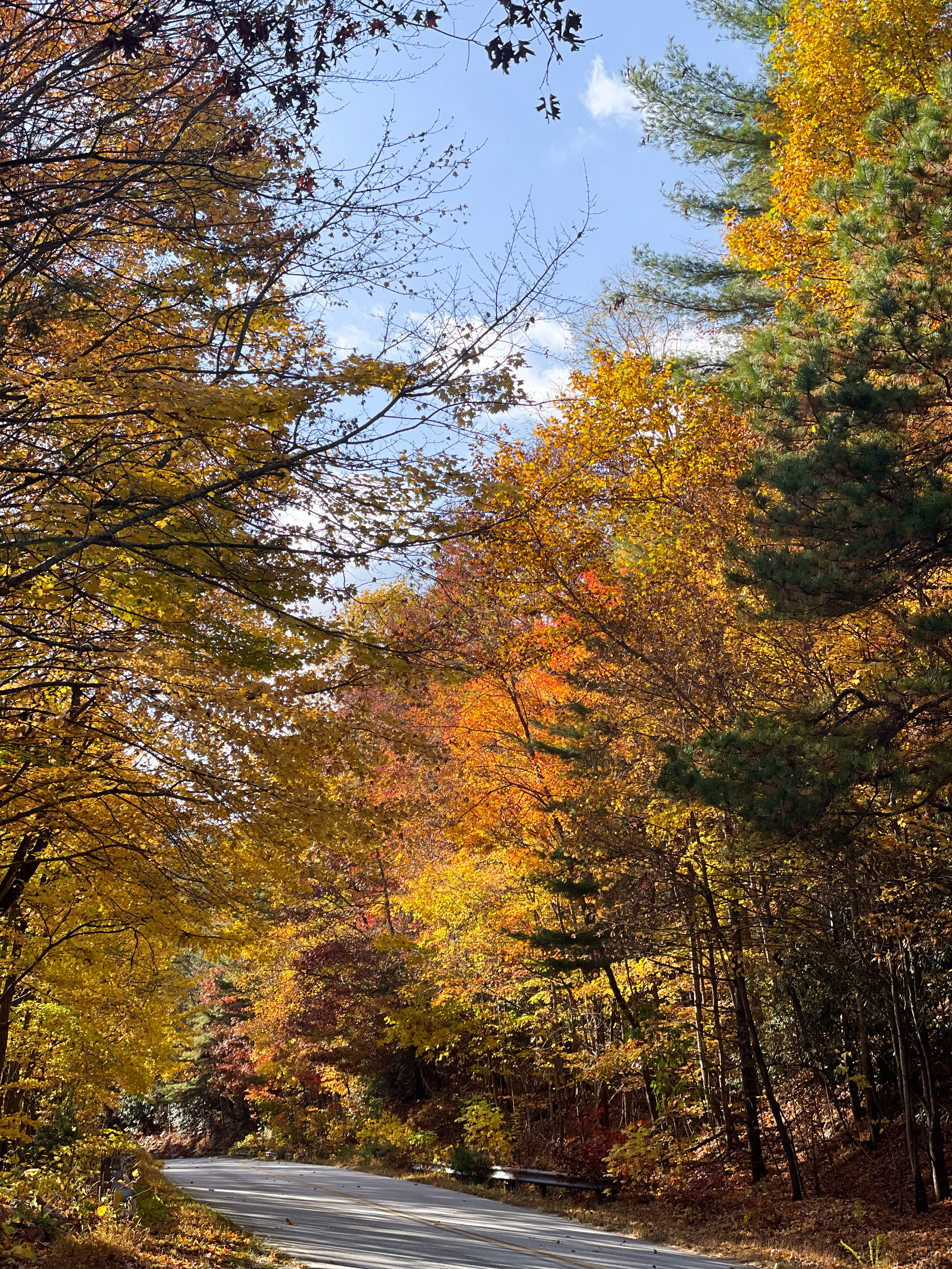 Nantahala National Forest, NC