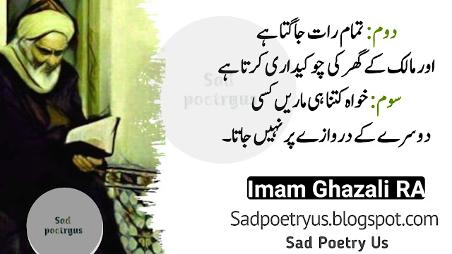 Imam Ghazali Urdu Quotes Lines || Learn Five Habits From A Dog || Educational Philosophy