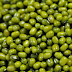 Mung Beans Health Benefits