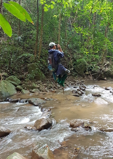 Jungle trekking at Chiang Dao from the Treehouse Hideaway