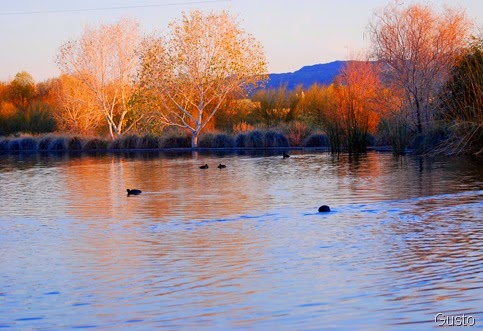 6g. rio saludo pond-gusto