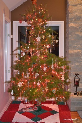 DSC_0021 DSC_0021