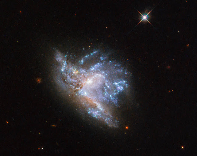 ngc-6052-dua-galaksi-yang-bergabung-membentuk-galaksi-tunggal-informasi-astronomi