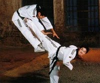 Taekwondo comunity: Peralatan Dalam Latihan Taekwondo