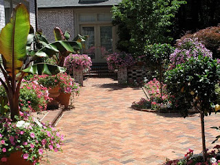 Backyard landscaping patio design