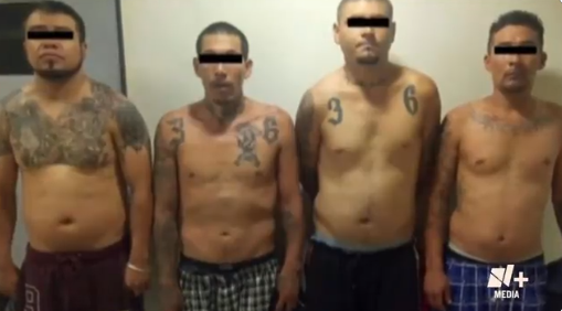 Ellos son los Mexicles, un grupo de Sicarios a sueldo quienes se rentan a el mejor postor , pandilleros deportados de EU