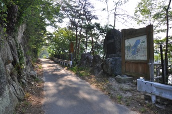 DSC 0133