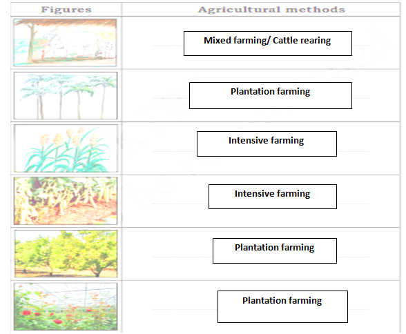 KSEEB Solutions For Class 5 EVS Chapter 8 Agriculture