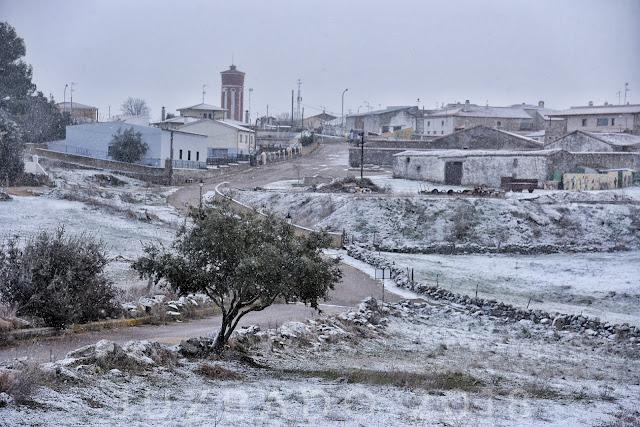 Juzbado, Nevada, Libro abierto, Ayuntamiento