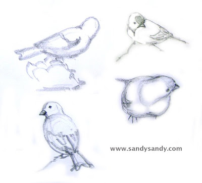 Each participant did a dozen sketches, three birds, four views each.