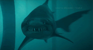  क्या होगा अगर मेगालोडन शार्क कभी विलुप्त नहीं हुआ | What happens If Megalodon Sharks Never Went Extinct Hindi | 