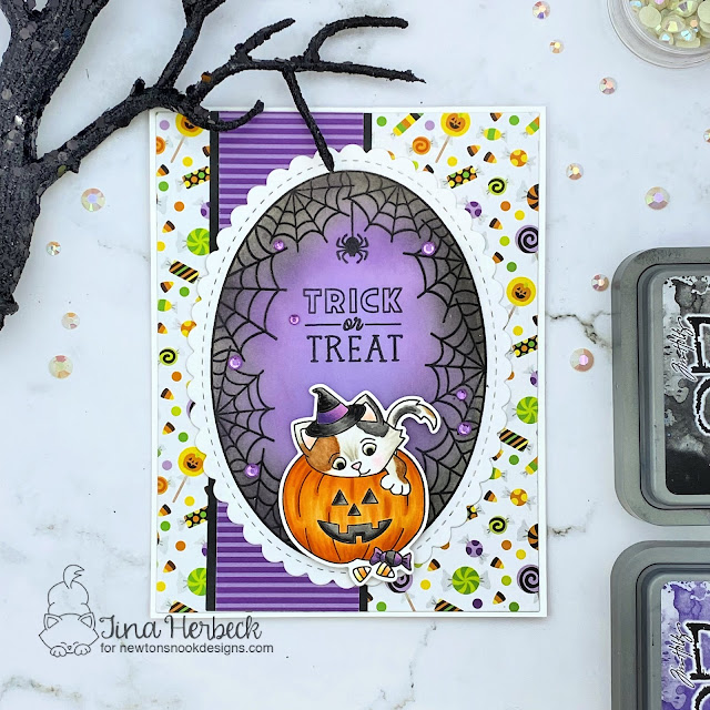 Halloween Kitten Card by Tina Herbeck | Trick or Treat Kittens Stamp Set, Spiderweb Oval Stamp Set, Oval Frames Die Set, and Halloween Meows and Woofs Paper Pads by Newton's Nook Designs #newtonsnook #handmade