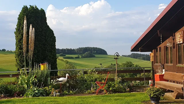 Schwarzwald Wittlekofen