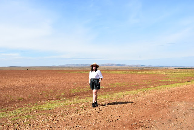 safari in Kenya