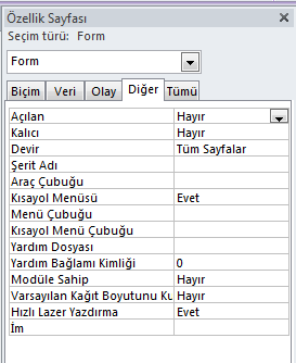 Access Form Tasarımı