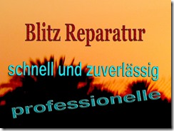 Lumix Blitz Reparatur