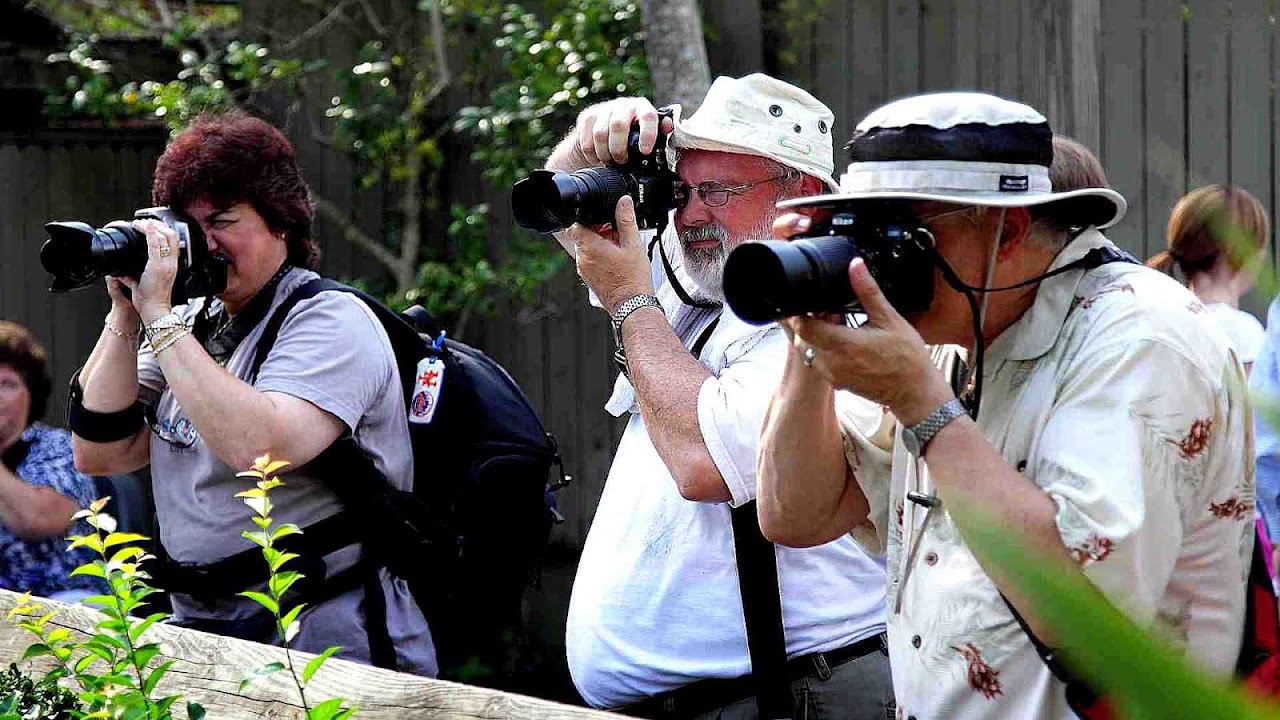 Florida Museum of Photographic Arts