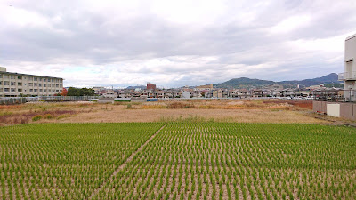 都市計画西浦北地区　地区計画(羽曳野市)