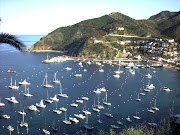 Join Us This Sunday On Beautiful Catalina Island! (ctharbor )