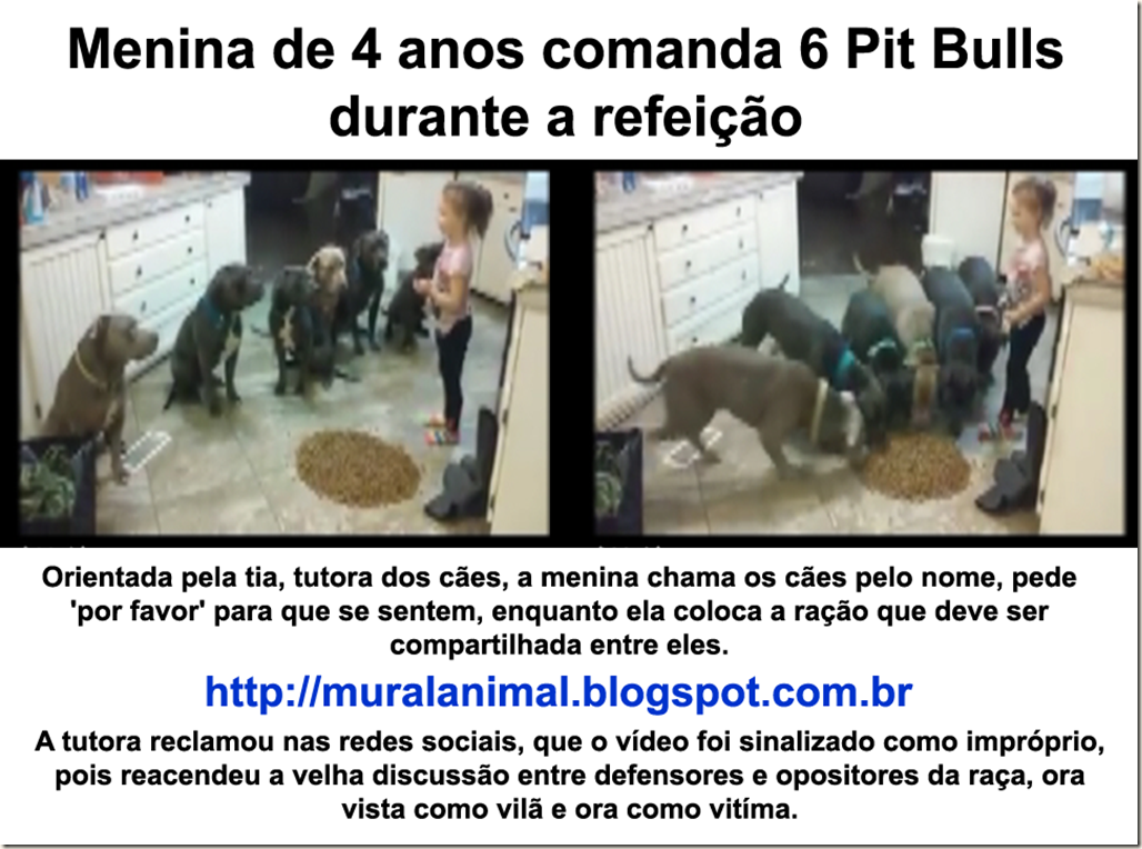 menina_6_pitbulls