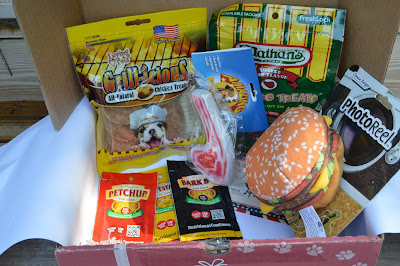 July 2015 Pet Gift Box Review