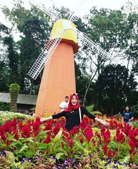 Sallowed Taman Bunga Celosia Semarang Wisata Terindah Di 