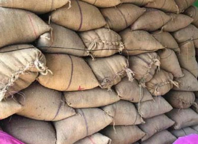  खाद्य और राजस्व विभाग की पड़ी रेड, व्यापारी के गोदाम से 109 बोरी धान जब्त 