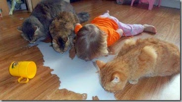cleanup crew