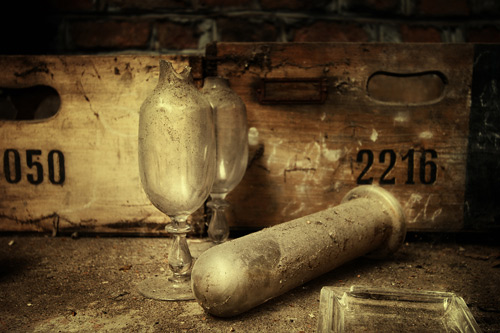 Still Life Photography