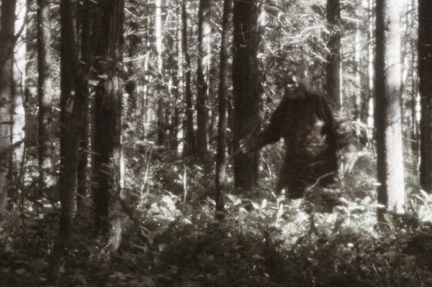 BIGFOOT: C'è stato un doppio avvistamento di Yeti in una sola settimana in Georgia 