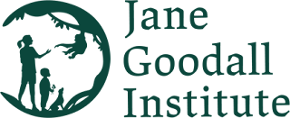 New Roots & Shoots Community Coordinator Job Vacancy at The Jane Goodall Institute (JGI)