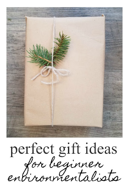 The Perfect Gift List for a Beginner Environmentalist 