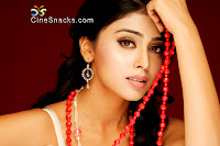 Shriya Saran spicy picture with Diamond & Gold Jewellery