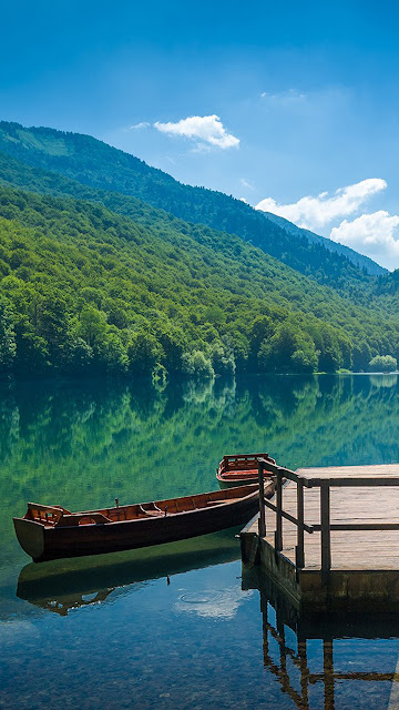 Landscape Canoe Forest