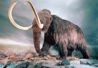 clonacion de mamut