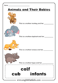 English ESL baby animals worksheet