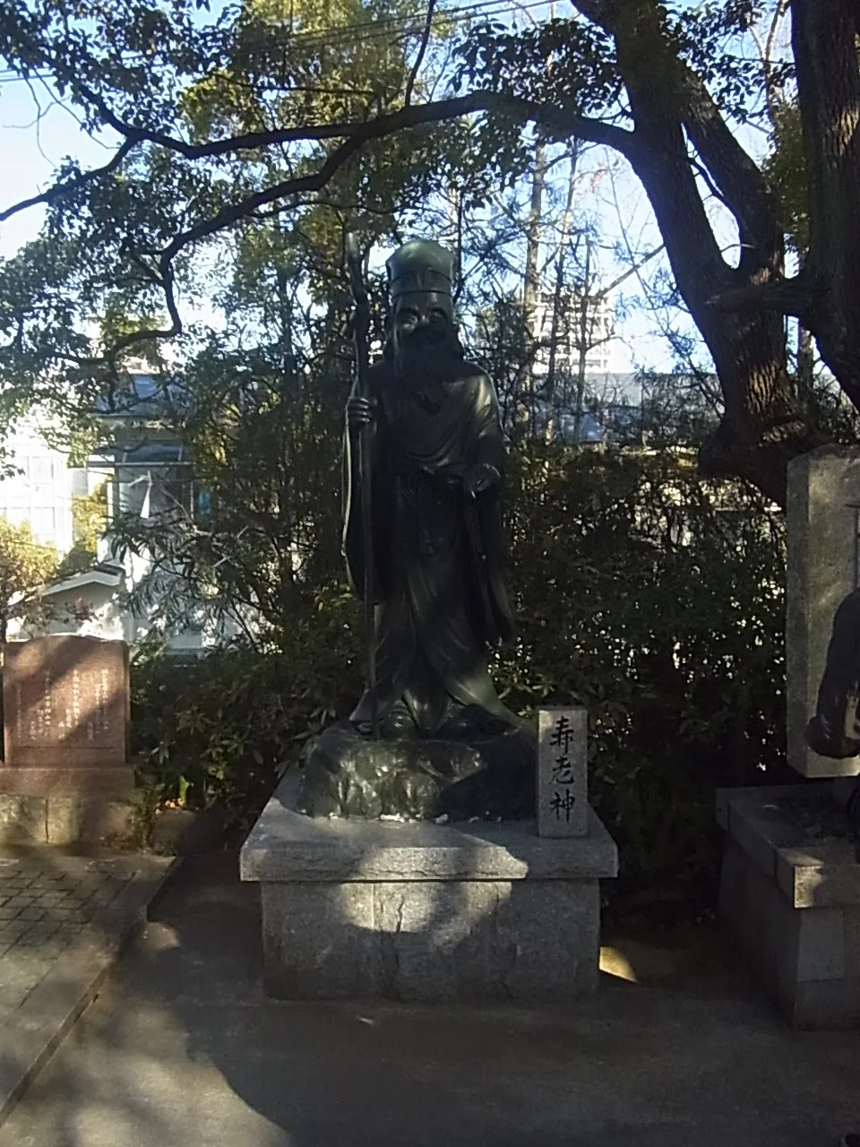 写真: 
