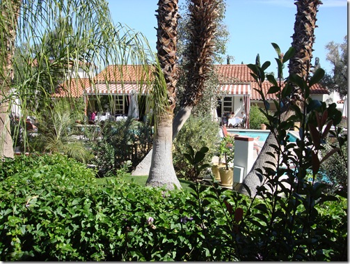 Palm Springs 3 059