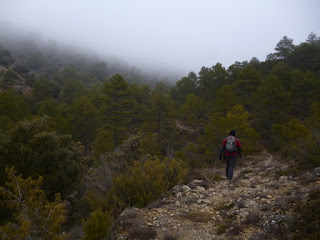 Barranco de los Escaramujos. Senda