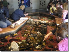 touch pond