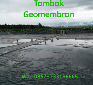 0857-7331-6665 Terima Jasa Pemasangan, Jual Beli Bahan Geomembran Untuk Tambak Udang,Embung, Limbah Dan Danau Buatan Di Depok, Karawang, Dan Cikarang